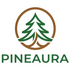 PINEAURA logo on white background, featuring a green pine tree inside a brown circle and green text